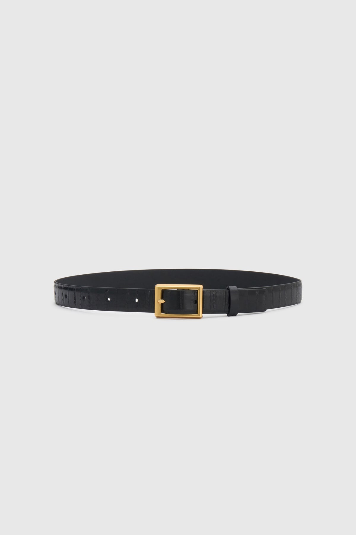 Front view CAMILLA AND MARC Sonny Eel Belt in black leather with textured eel embossing.